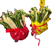 Fliegendes GIF